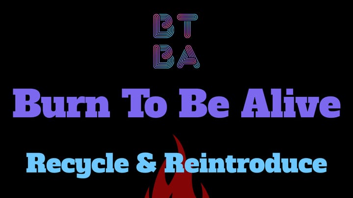 Nummer 1: Globalisierung - My Way